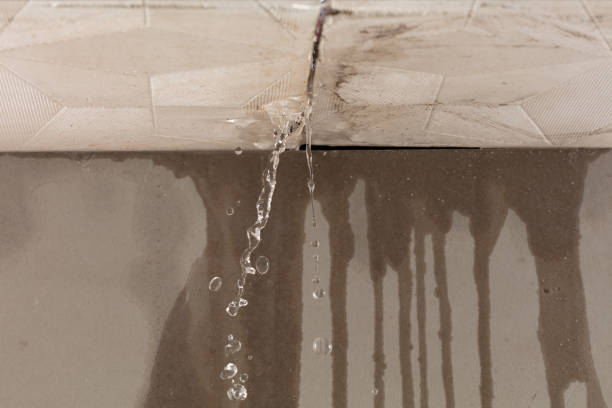Professional Burst Pipe Cleanup technician working in Cresskill, NJ